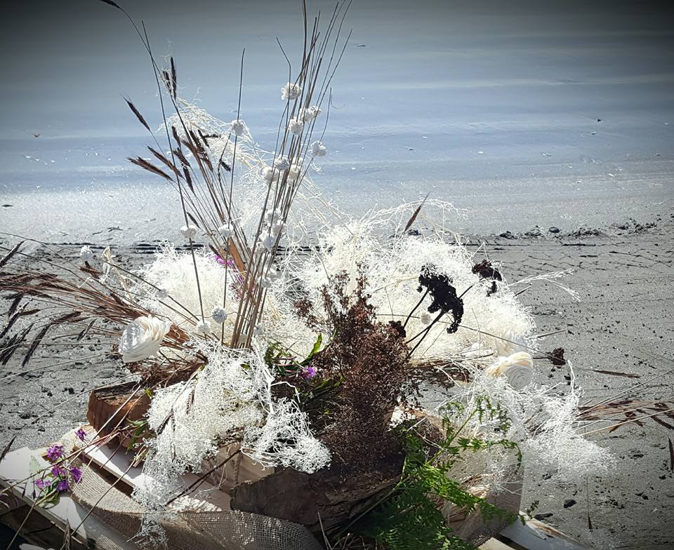 20031584_10212502996642812_4512321871456381559_n